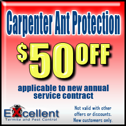 carpenter ant protection $50.00 off