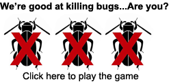 bug game
